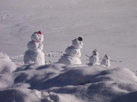 Bauernhof Elsbichlhof