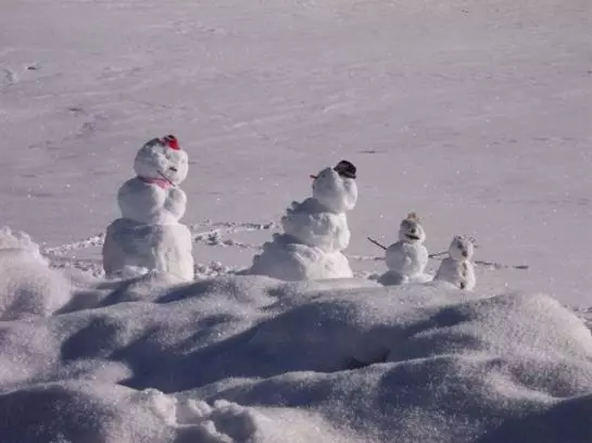 Bauernhof Elsbichlhof