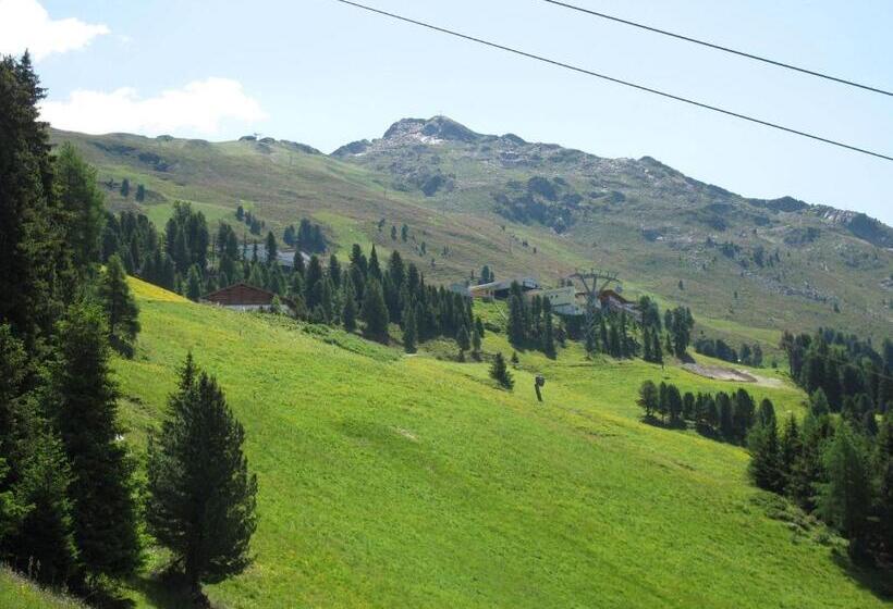 فندق Berggasthof Hochzeigerhaus