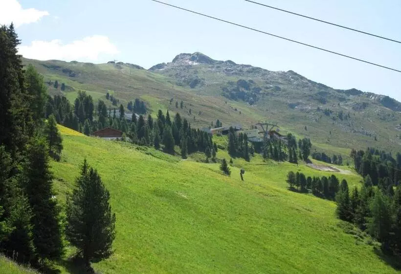 ホテル Berggasthof Hochzeigerhaus