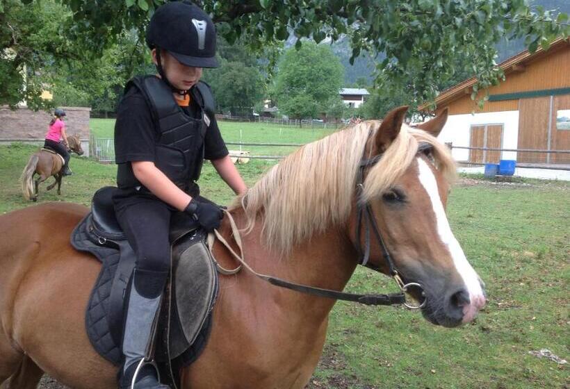 Отель Denggalahof