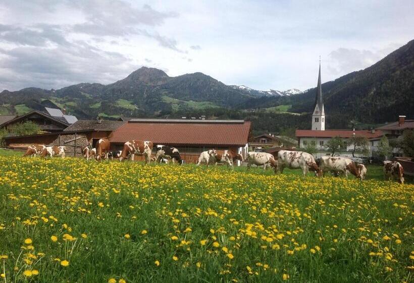 Отель Denggalahof