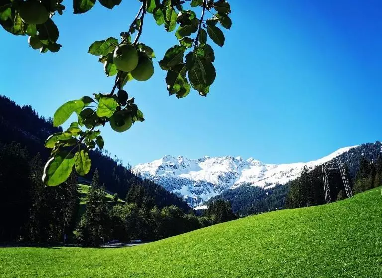 Отель Ferienwohnungen Lehenhof