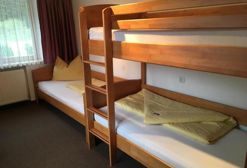 ホテル Haus Alpina