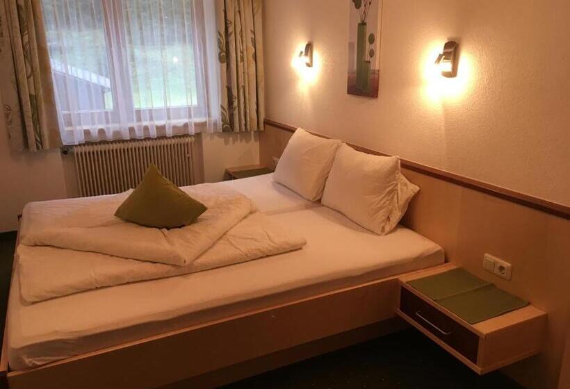 ホテル Haus Alpina