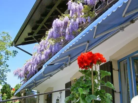 Отель Haus-georg