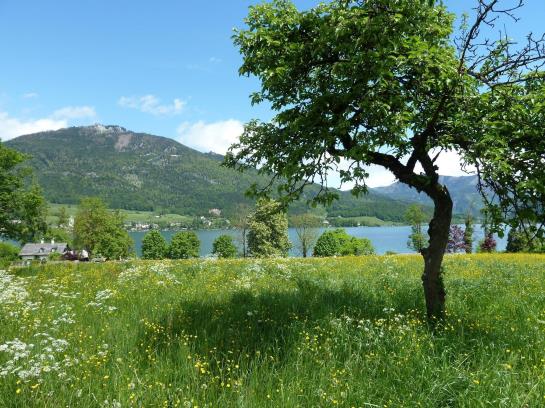 ベッドアンドブレックファースト Haus Schoenblick Pension