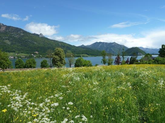 ベッドアンドブレックファースト Haus Schoenblick Pension