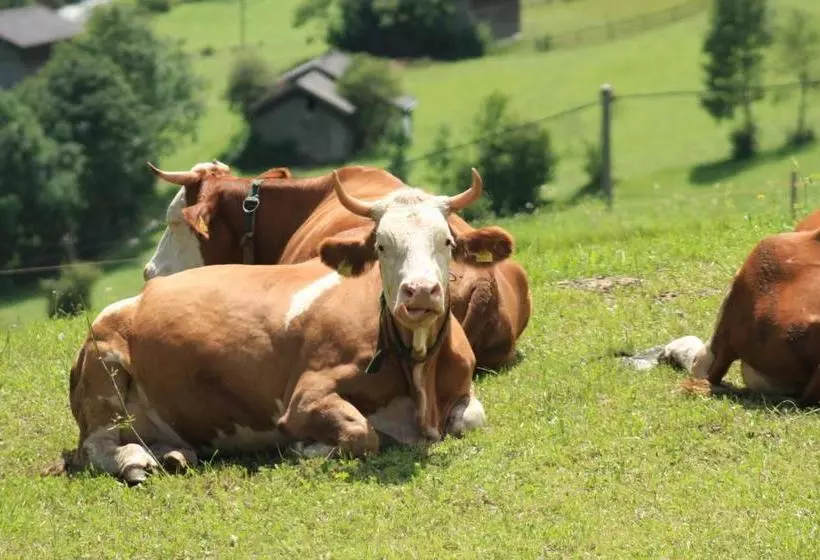 Отель Omesbergerhof