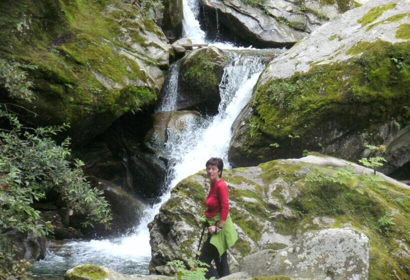 فندق Pension Regina