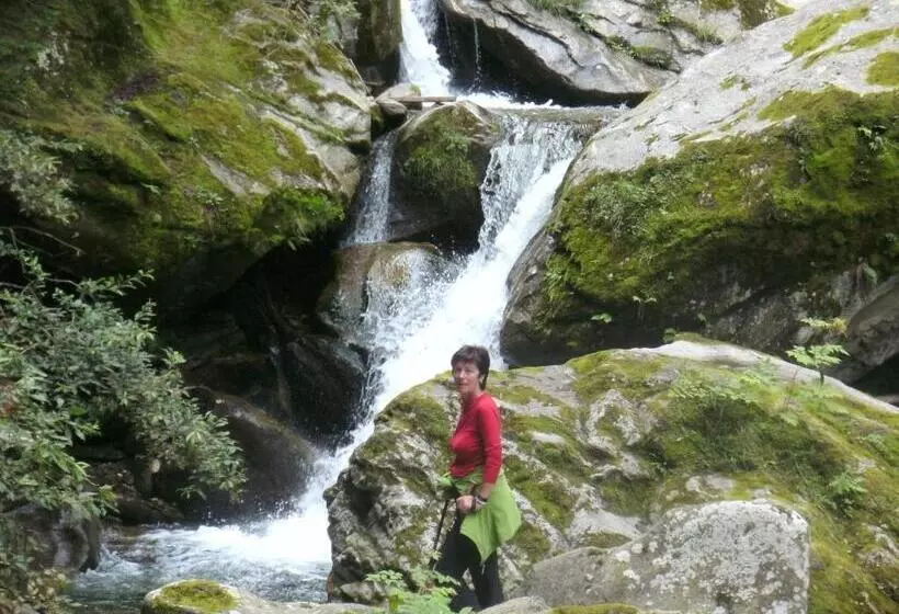 فندق Pension Regina