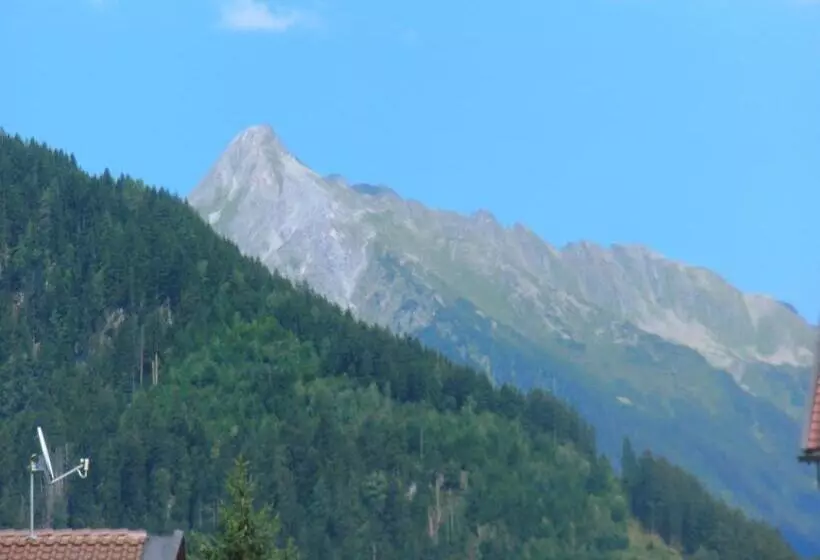 فندق Pension Regina