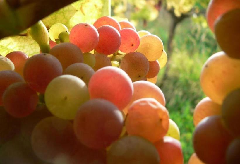 Отель Perchtoldsdorf