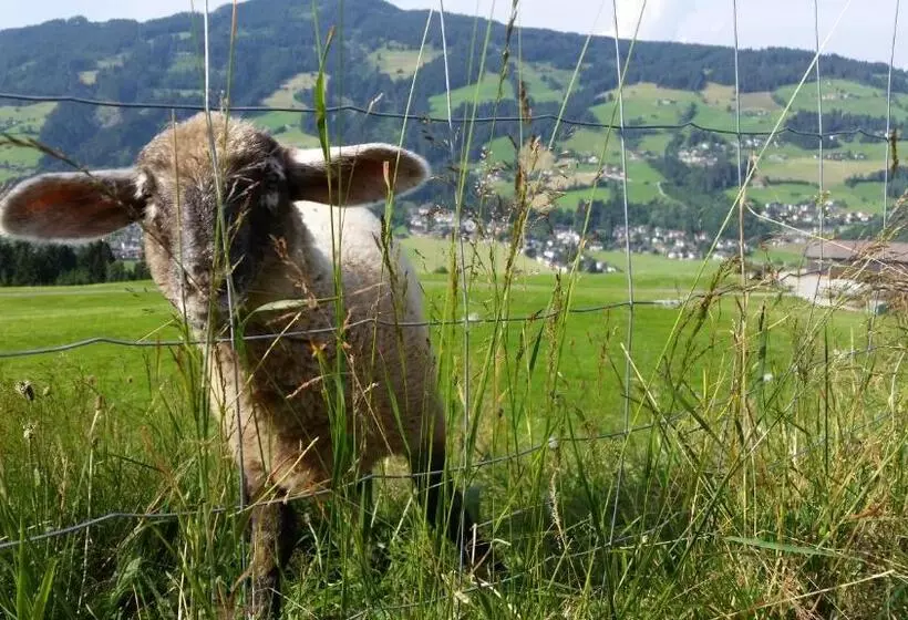 Пансион Gasthaus Obergaisberg