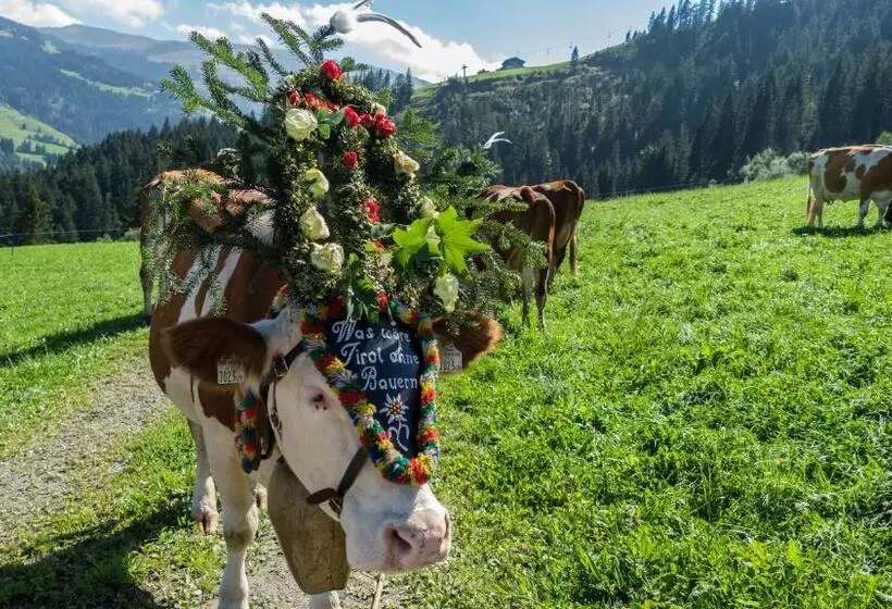 Пансион Gasthaus Obergaisberg