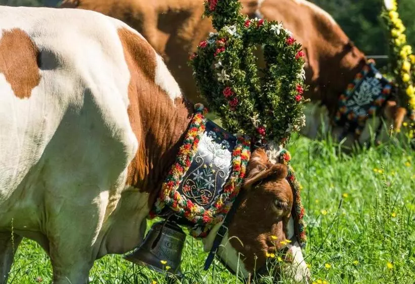 Пансион Gasthaus Obergaisberg