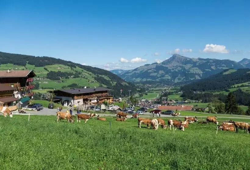 Пансион Gasthaus Obergaisberg