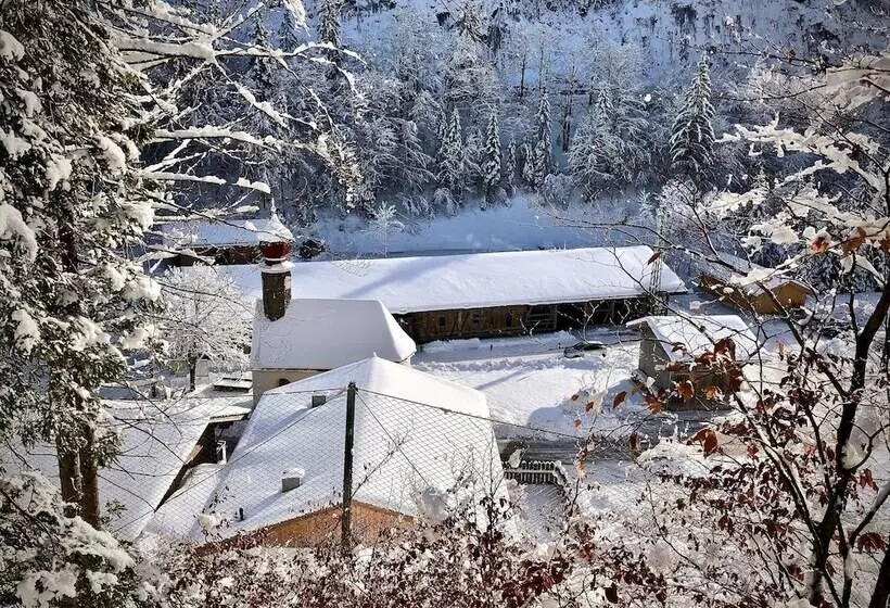 Пансион Gasthof Salzstadl