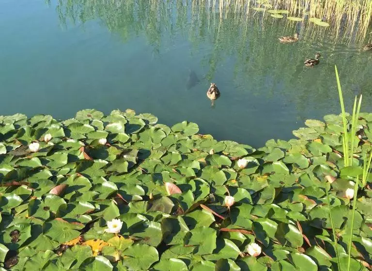 Пансион Gästehaus Ulbing