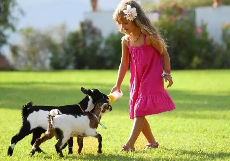 Arbatax Park Resort   Suites Del Mare