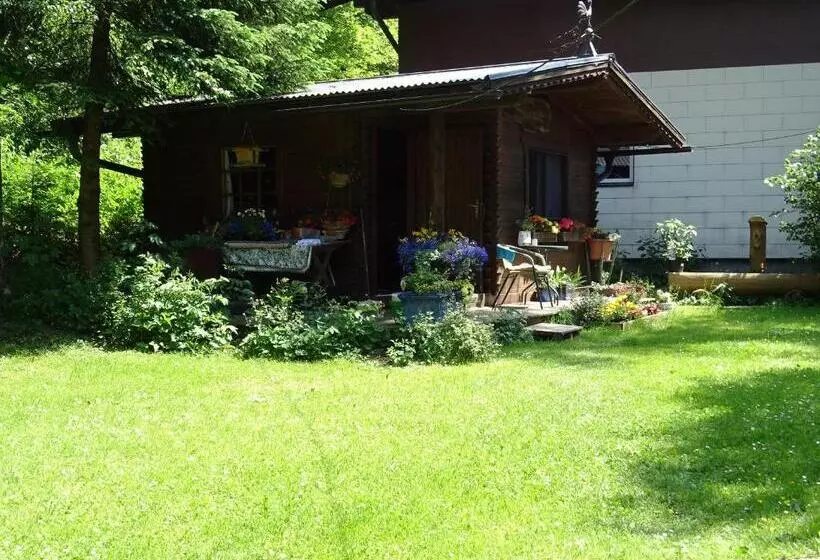 ベッドアンドブレックファースト Pension Bayrhammer