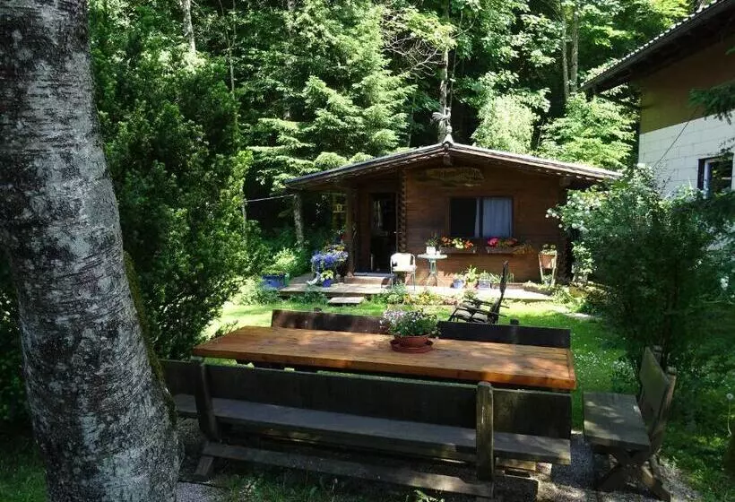 ベッドアンドブレックファースト Pension Bayrhammer