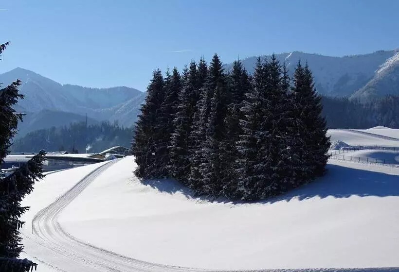 ベッドアンドブレックファースト Pension Bayrhammer