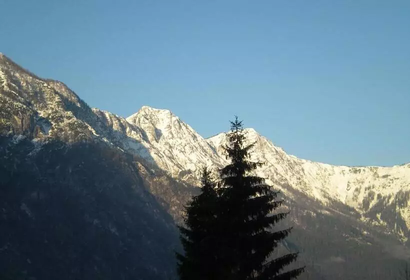 تختخواب و صبحانه Pension Leprich