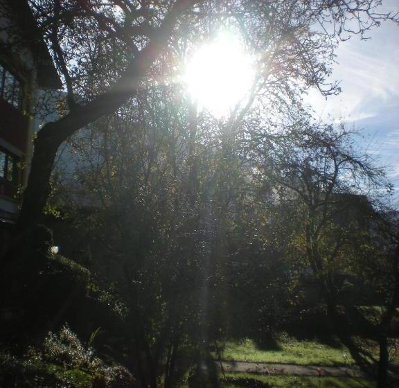 Bed and Breakfast Pension Leprich