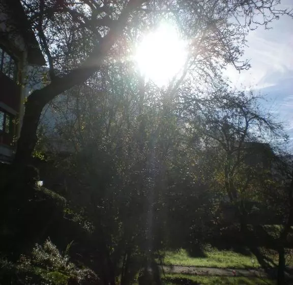 تختخواب و صبحانه Pension Leprich