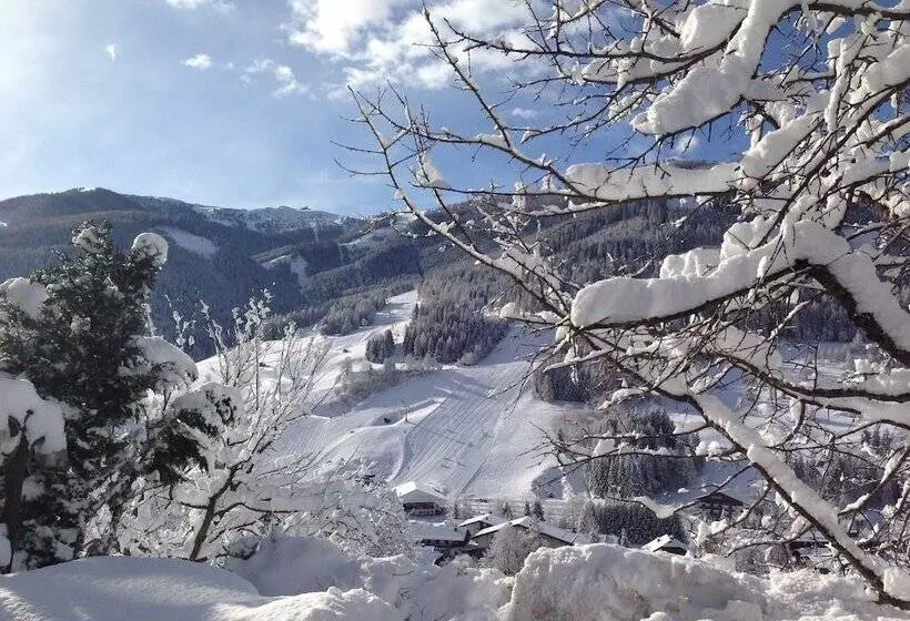 Bed and Breakfast Pension Südhang