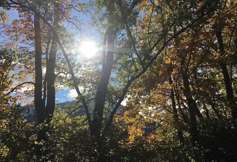 Bed and Breakfast Pension Südhang