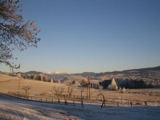 Bauernhof Familie Sepp Und Sabine Koeck