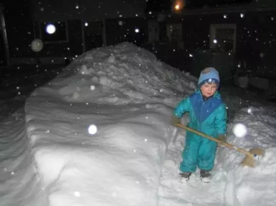 Bauernhof Familie Sepp Und Sabine Koeck