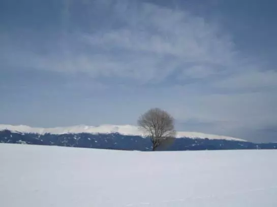 Bauernhof Familie Sepp Und Sabine Koeck