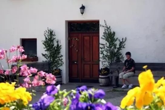 Bauernhof Familie Sepp Und Sabine Koeck