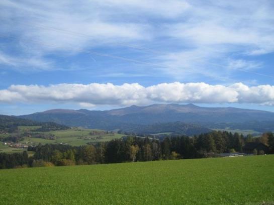 Bauernhof Familie Sepp Und Sabine Koeck