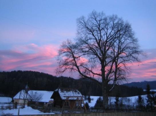 Bauernhof Familie Sepp Und Sabine Koeck