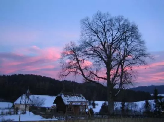 Bauernhof Familie Sepp Und Sabine Koeck
