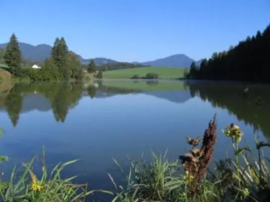 Bauernhof Familie Sepp Und Sabine Koeck