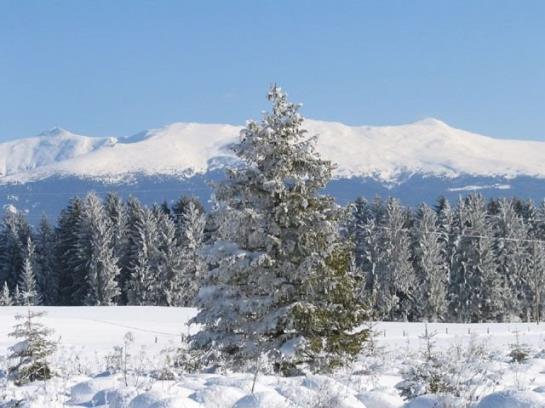 Bauernhof Familie Sepp Und Sabine Koeck