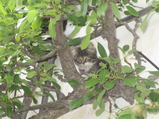 Bauernhof Familie Sepp Und Sabine Koeck