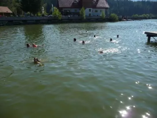 Bauernhof Familie Sepp Und Sabine Koeck