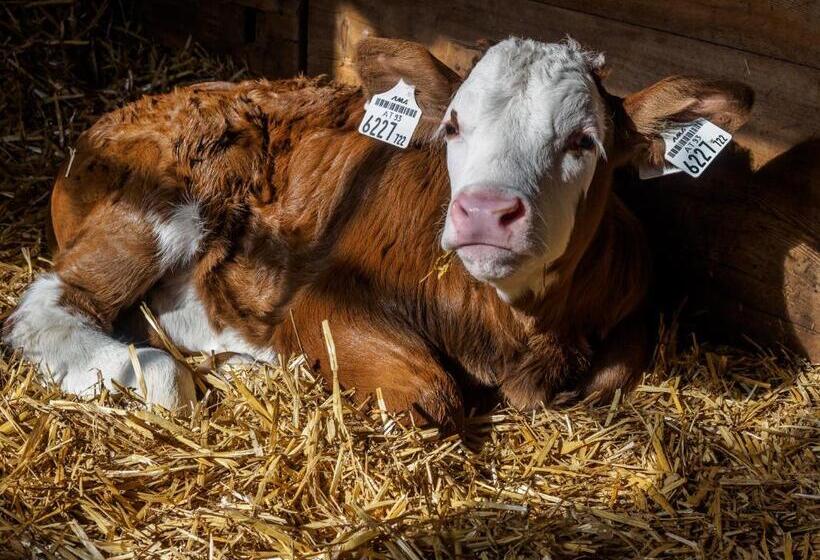 ホテル Bauernhof Untergrafer