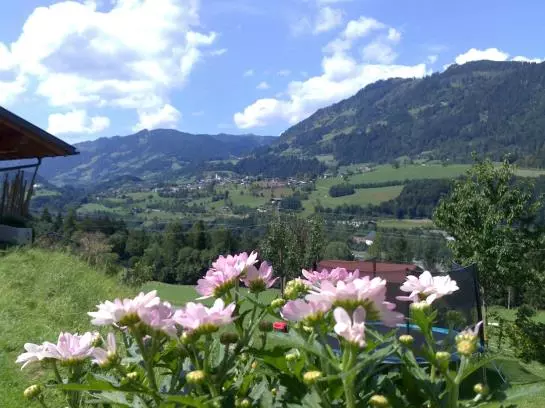 Bauernhof Weidinghof