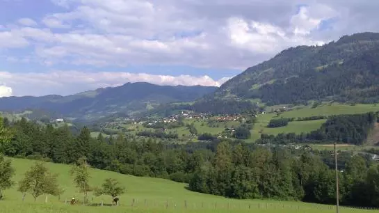 Bauernhof Weidinghof