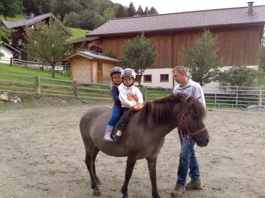 Bauernhof Weidinghof