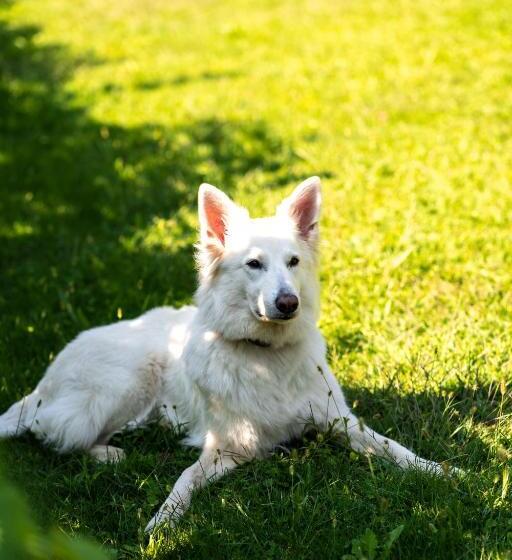 호텔 Der Heinrichshof