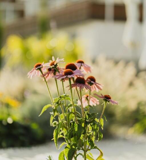 호텔 Der Heinrichshof