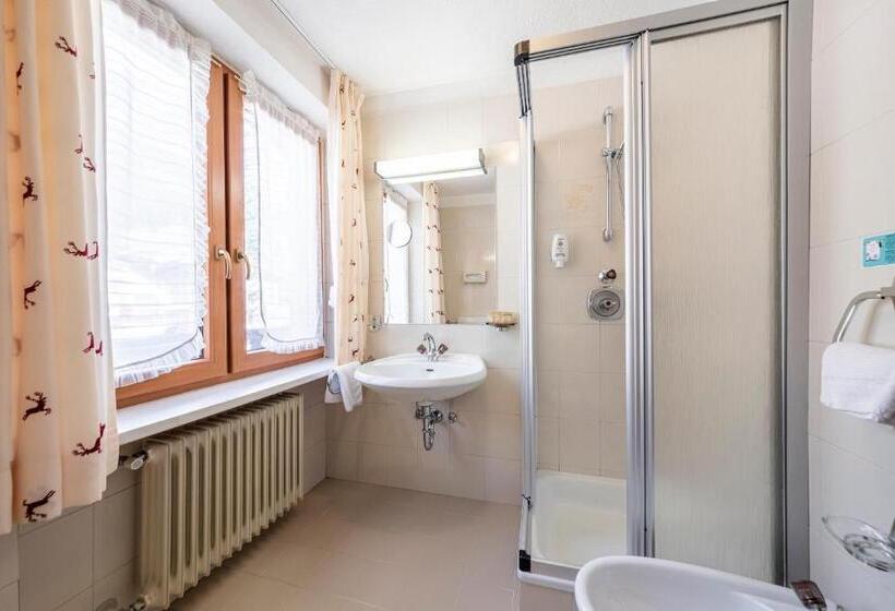 בית מלון כפרי Dolomiti